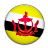 Flag Of Brunei Icon